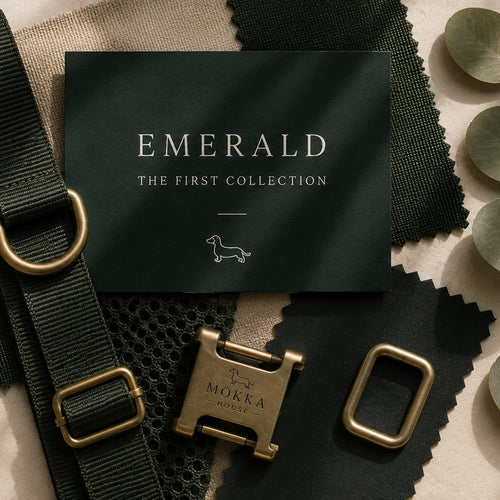 Emerald Harness